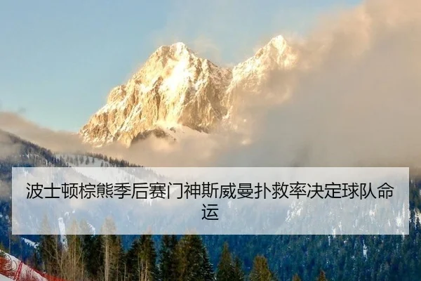 波士顿棕熊季后赛门神斯威曼扑救率决定球队命运