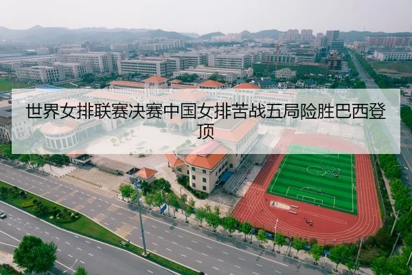 世界女排联赛决赛中国女排苦战五局险胜巴西登顶